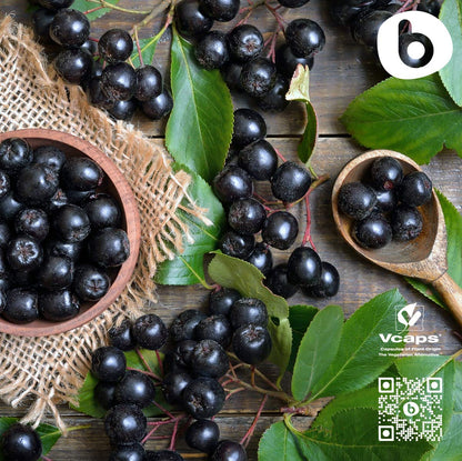 Organic Aronia Berry Capsules – Immune Support, 500mg | 90 Vegan Caps
