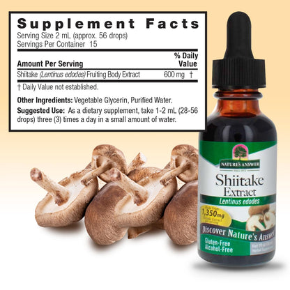 Nature's Answer Shiitake Mushroom Extract - Alcohol Free, 1 Fl Oz | Immune Support & Wellness