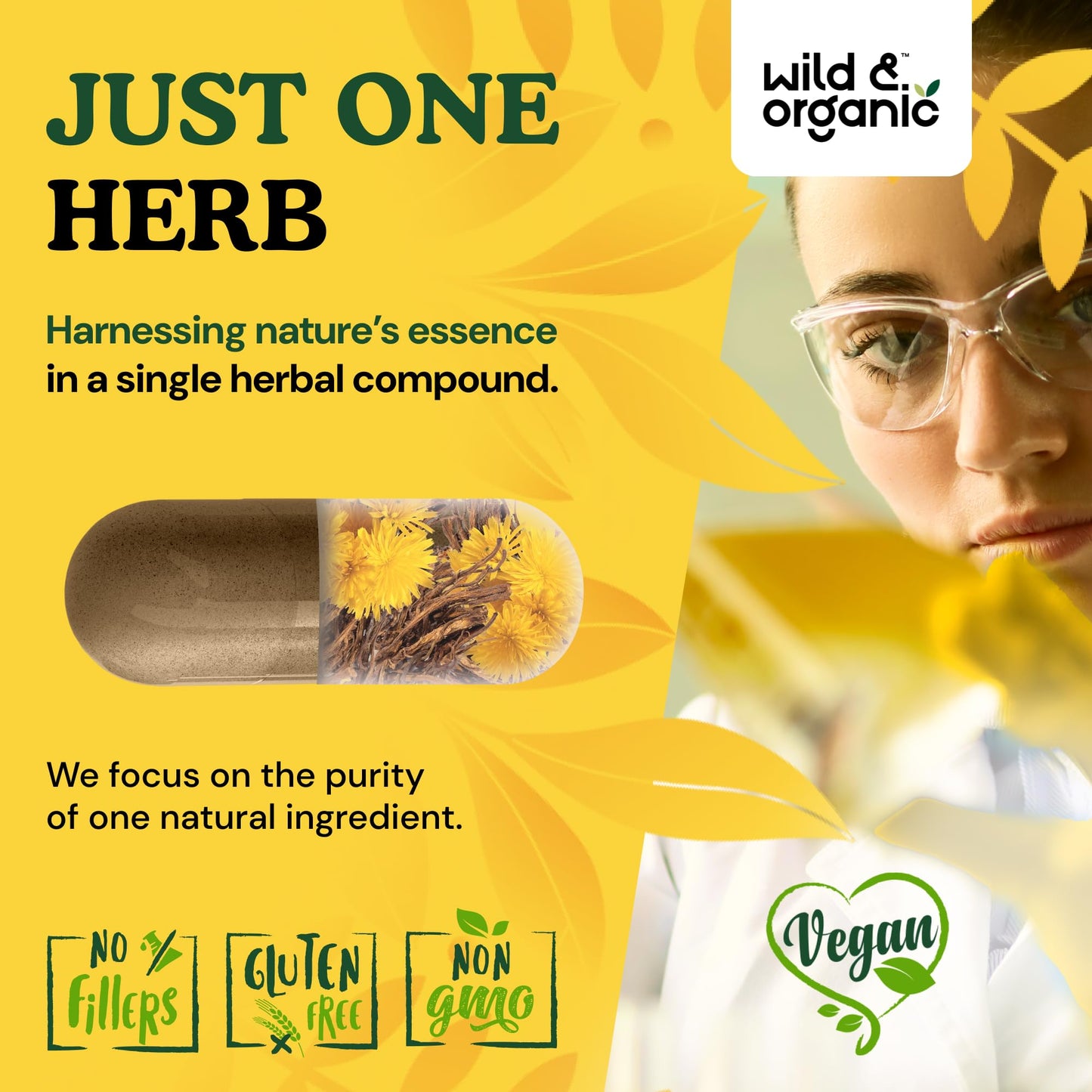 Wild & Organic Dandelion Root Capsules – 2000 mg per Capsule, Liver Support