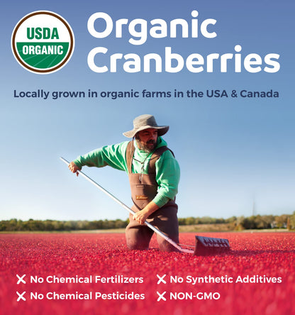Organic Cranberry Pills 50:1 Concentrate – 25,000mg, Vegan, 60 Capsules