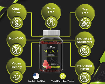 Shilajit Gummies 1000mg – Himalayan Shilajit with Fulvic Acid | Raspberry-Watermelon, Vegan, Sugar-Free