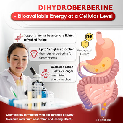 Dihydroberberine – Super Berberine 810mg with GlucoVantage | 5X Absorption | Made in USA | 90 Count