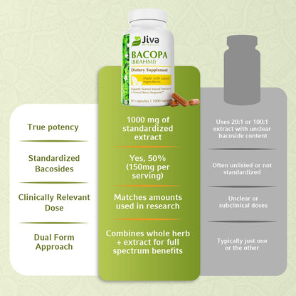 Jiva Botanicals Bacopa Monnieri 1000mg – Focus & Memory Support (60 Capsules)