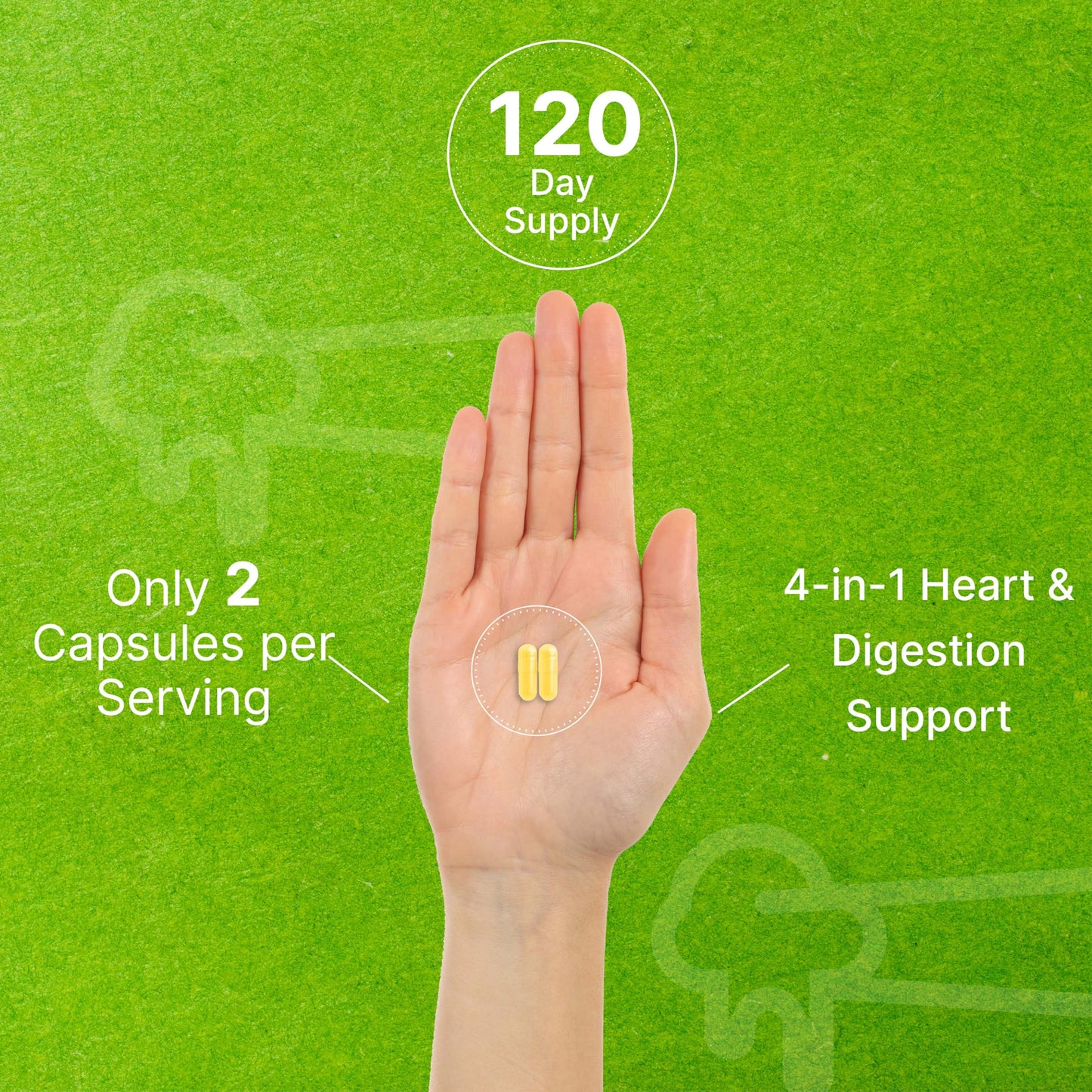 Nattokinase 4,000 FU – 240 Veggie Capsules | Heart Health & Digestion | Vegan