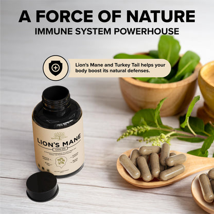 Lions Mane + Turkey Tail Capsules – 1200 Mg Lion's Mane, Non-GMO, 120 Caps | Nootropic Brain Support