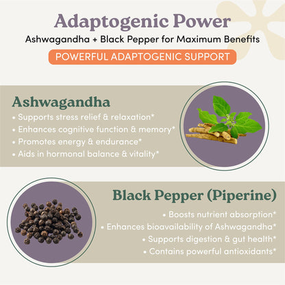 nootrimind Organic Ashwagandha Extra Strength – Stress, Mood & Energy Support with Black Pepper | 60 Capsules | Non-GMO, Vegan, Gluten Free