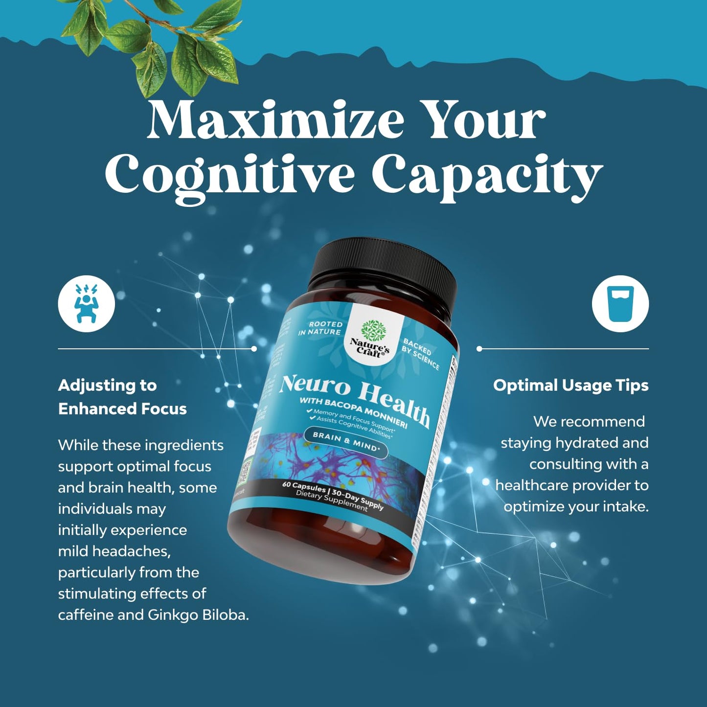 Nootropic Brain Supplement for Memory & Focus – Bacopa Monnieri & B Vitamins (60 Ct)