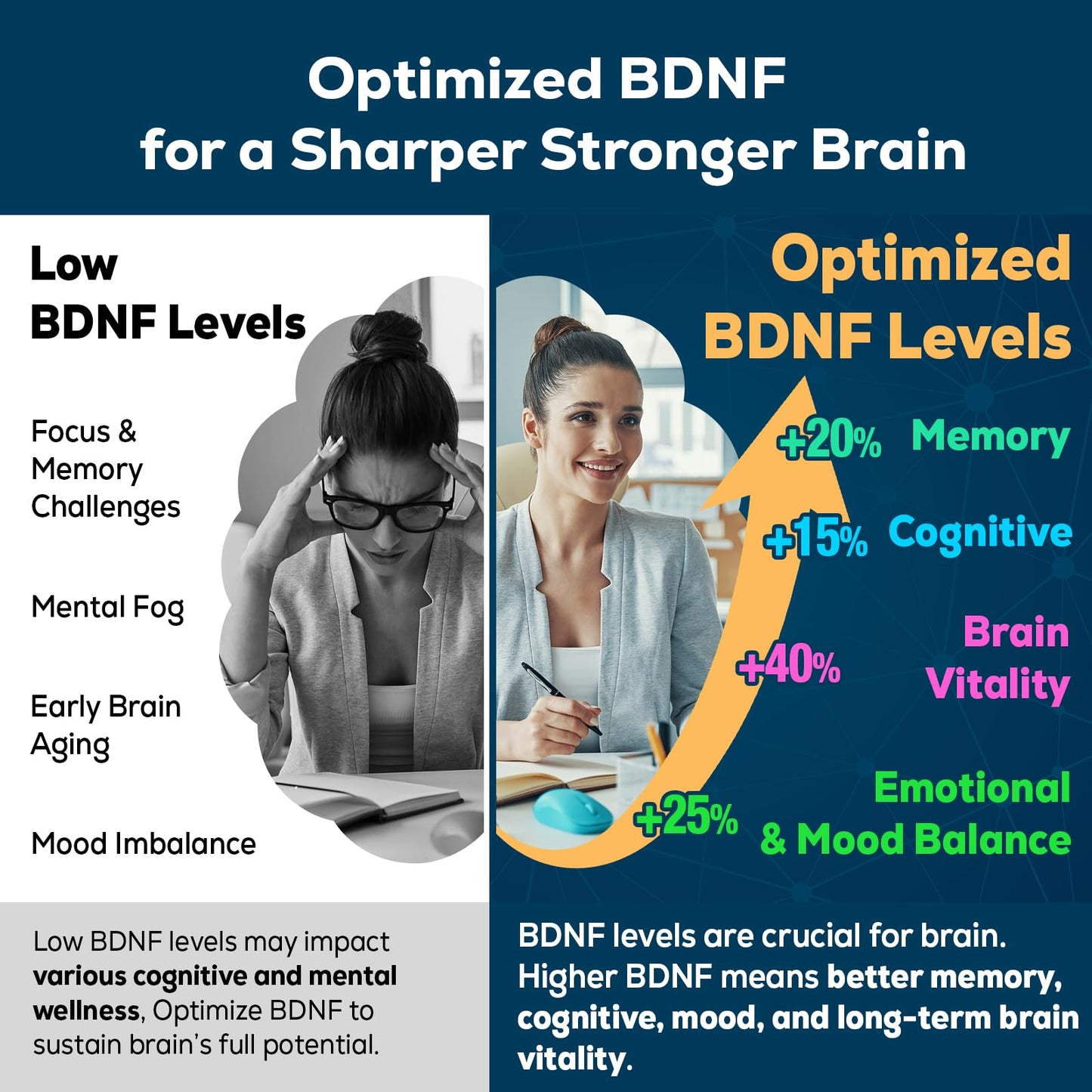 Nootropic Brain Supplement for Memory & Focus – BDNF Optimizer – 60 Tablets