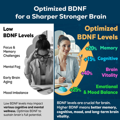 Nootropic Brain Supplement for Memory & Focus – BDNF Optimizer – 60 Tablets