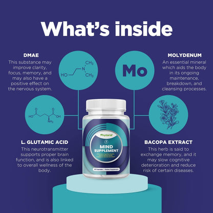 Nootropic Brain Supplement for Memory & Focus | Vitamins for Mental Clarity - 60 Capsules