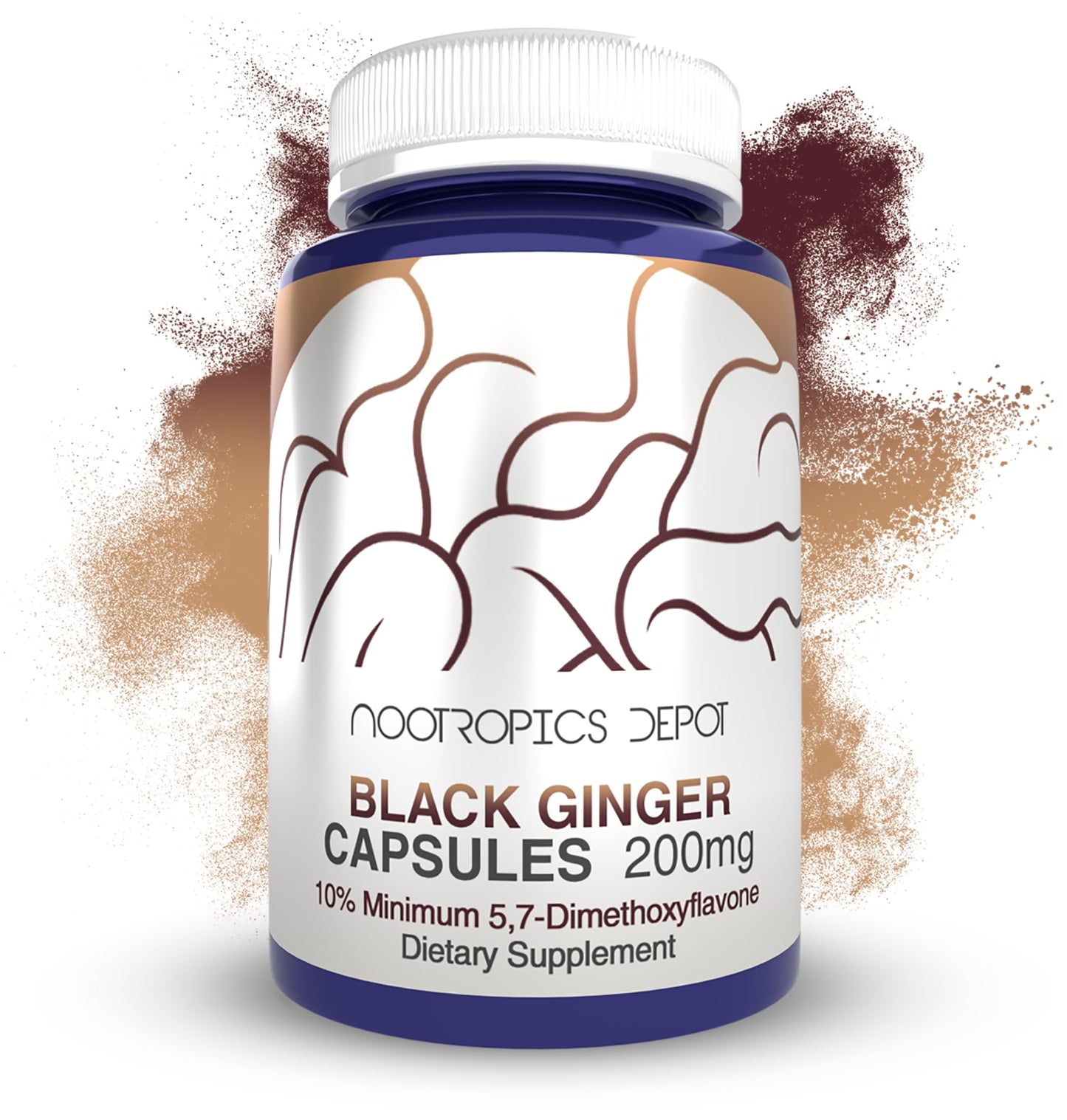 Black Ginger Extract Capsules – 10% 5,7-Dimethoxyflavone | Nootropics Depot | 60 Count