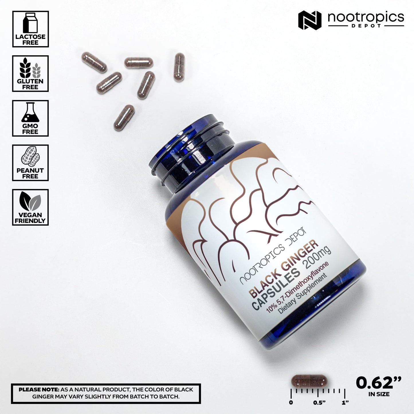 Black Ginger Extract Capsules – 10% 5,7-Dimethoxyflavone | Nootropics Depot | 60 Count