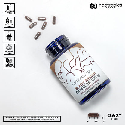 Black Ginger Extract Capsules – 10% 5,7-Dimethoxyflavone | Nootropics Depot | 60 Count