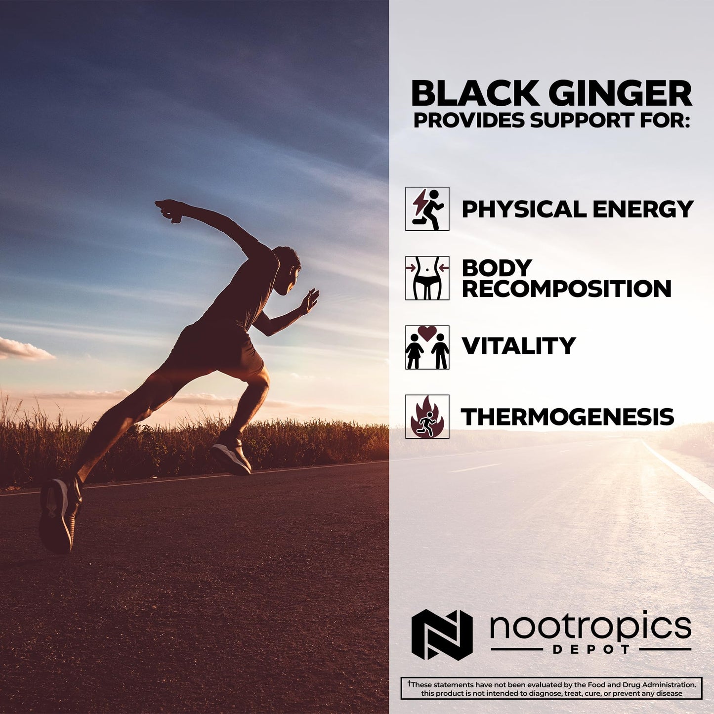 Black Ginger Extract Capsules – 10% 5,7-Dimethoxyflavone | Nootropics Depot | 60 Count
