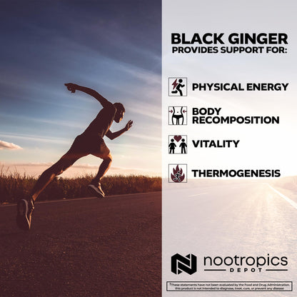 Black Ginger Extract Capsules – 10% 5,7-Dimethoxyflavone | Nootropics Depot | 60 Count