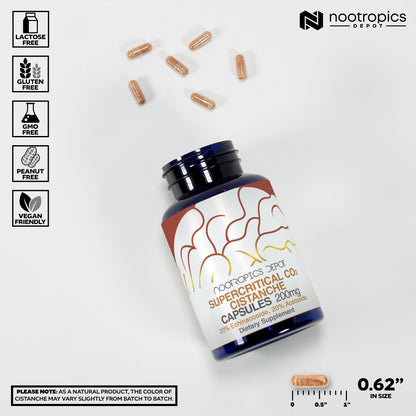 Nootropics Depot Cistanche Supercritical CO2 Extract Capsules – 60 Count | 20% Echinacoside + 20% Verbascoside