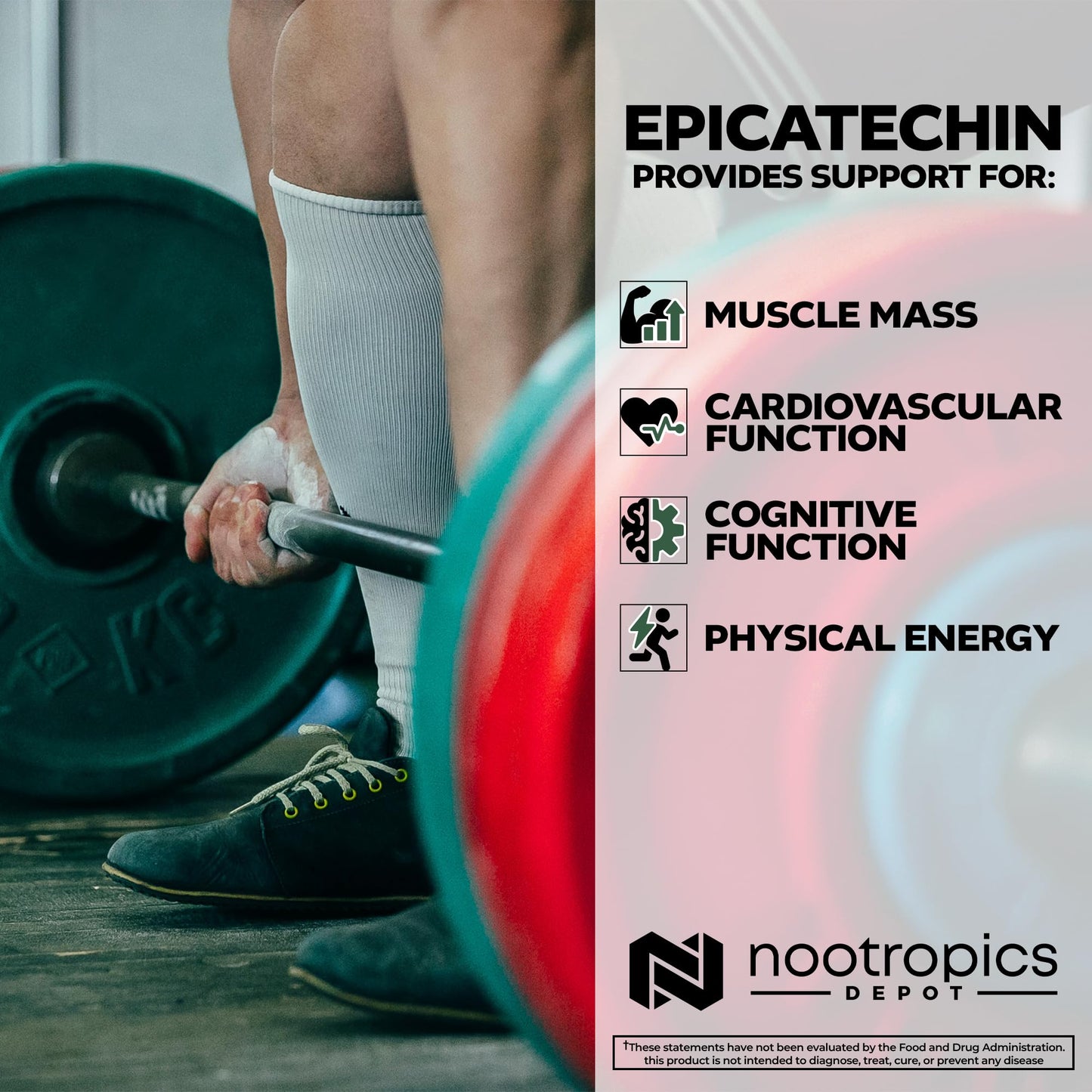Epicatechin Tablets 200mg with Piperine – Nootropics Depot | Green Tea Extract | 30 Count