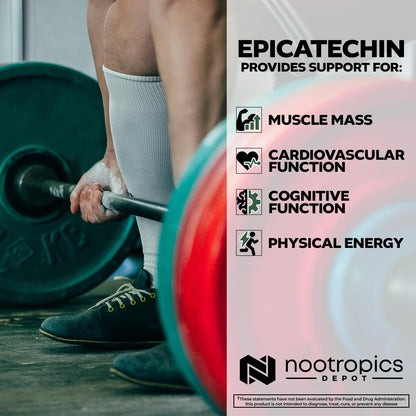 Epicatechin Tablets 200mg with Piperine – Nootropics Depot | Green Tea Extract | 30 Count