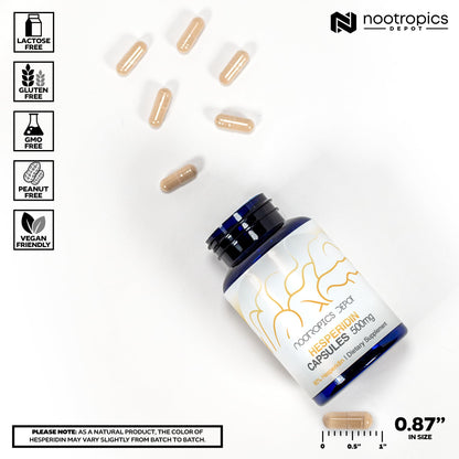 Nootropics Depot Hesperidin Capsules 500mg – 180 Count | 90% Citrus Extract | Supports Metabolic Function & Cardiovascular Health