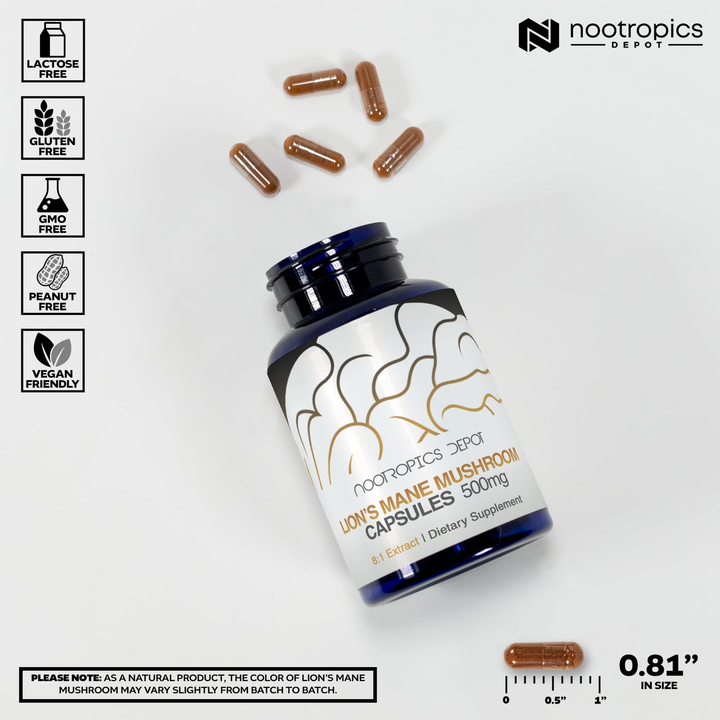 Nootropics Depot Lion's Mane Mushroom Capsules 500mg | 60 Count | 8:1 Dual Extract