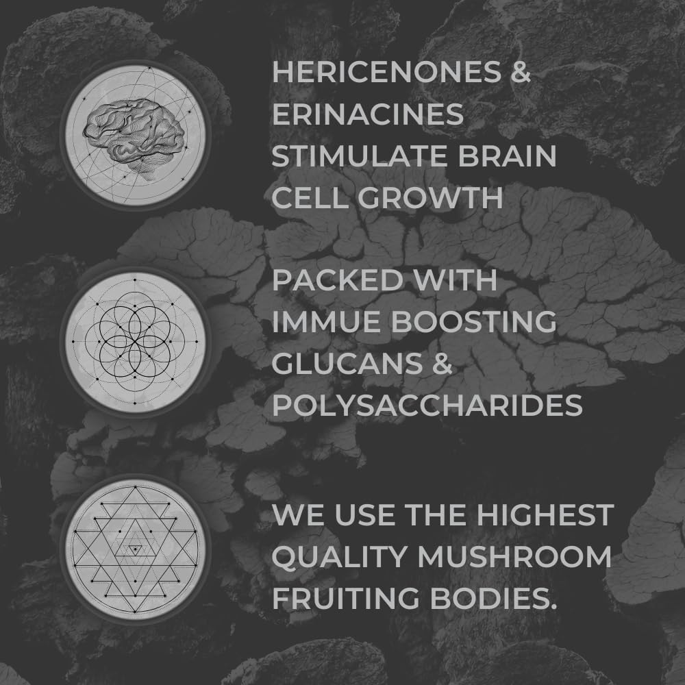 Nootrum Mushrooms | 1 Month Capsule Supply with Lion's Mane, Cordyceps & Reishi
