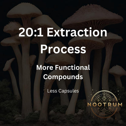 Nootrum Mushrooms | 1 Month Capsule Supply with Lion's Mane, Cordyceps & Reishi