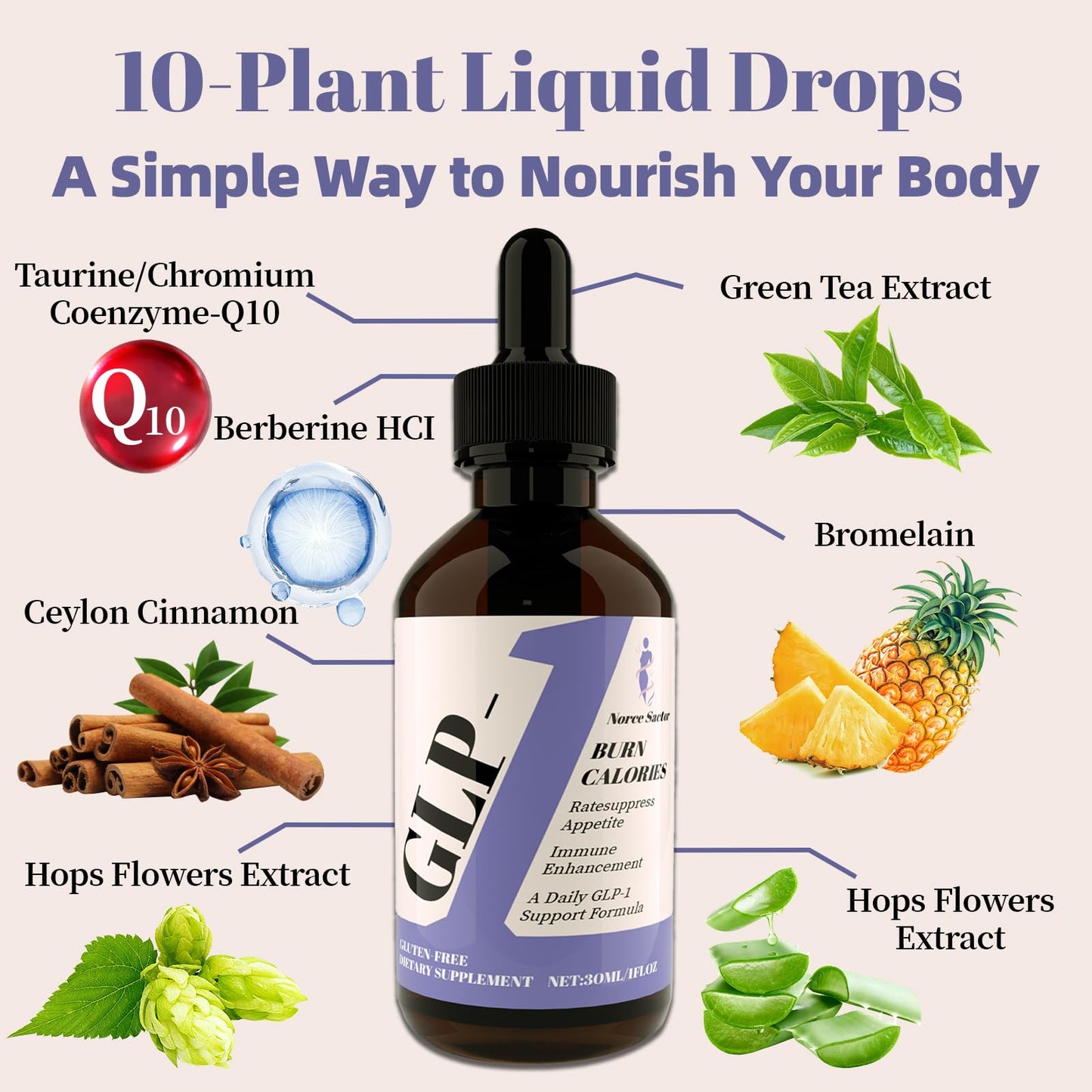 Norce Sactor GLP-1 Drops – Natural Liquid Supplement for Women & Men | Digestive & Gut Health