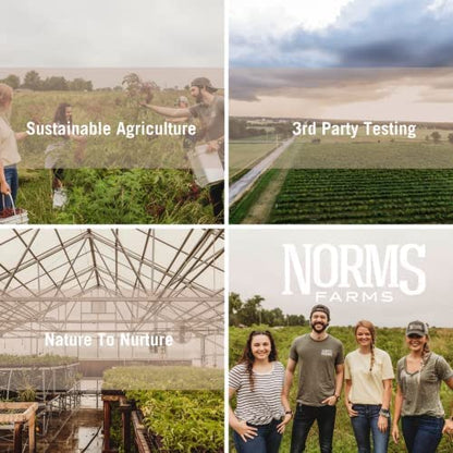 Norm's Farms Organic Elderberry Gummies - Daily Immune Support for Adults & Kids