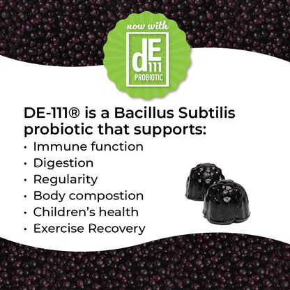 Norm's Farms Organic Elderberry Gummies - Daily Immune Support for Adults & Kids