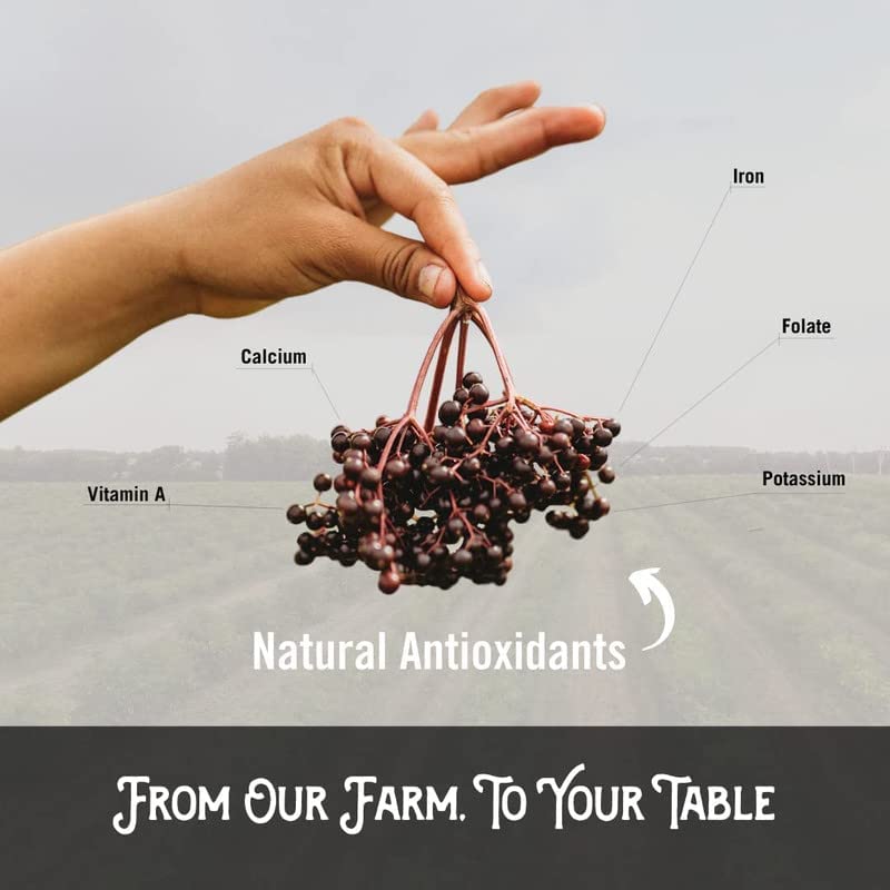 Norm's Farms Organic Elderberry Gummies - Daily Immune Support for Adults & Kids