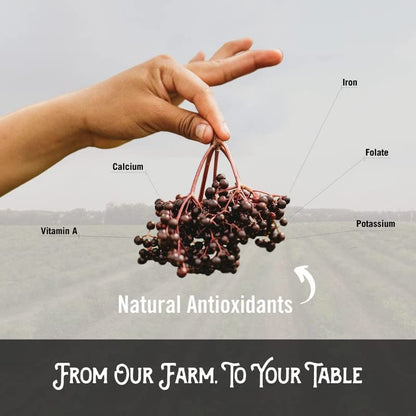 Norm's Farms Organic Elderberry Gummies - Daily Immune Support for Adults & Kids