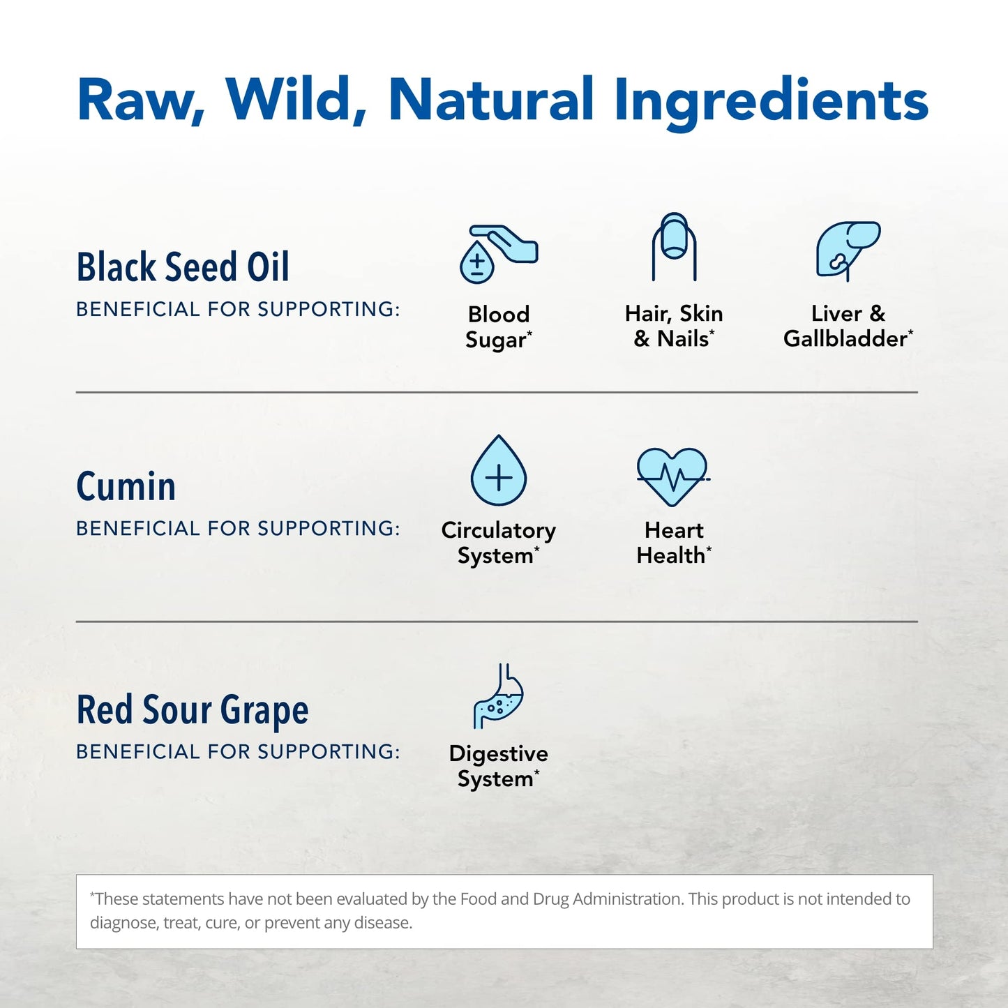 North American Herb and Spice Black Seed Plus 90-VCaps