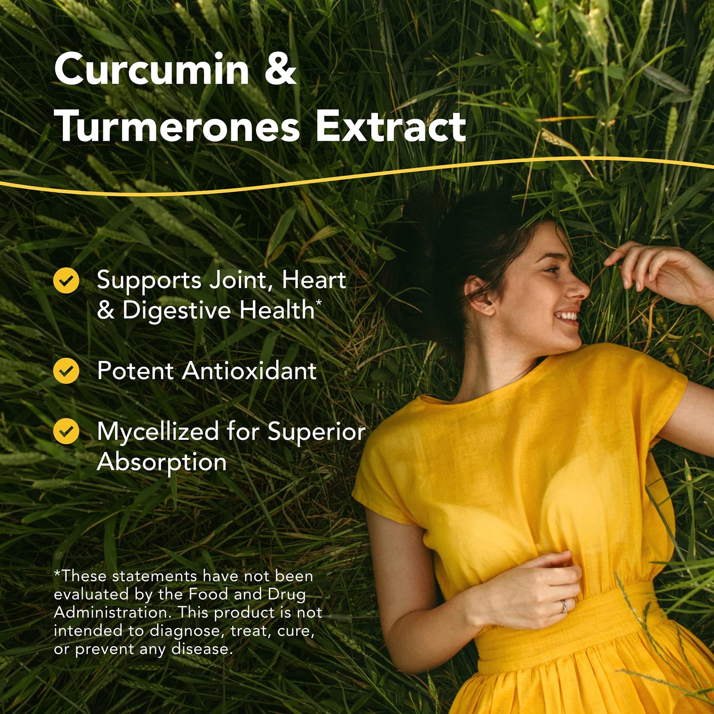 Turmeric Power-Plus Gels 120 Count | North American Herb & Spice