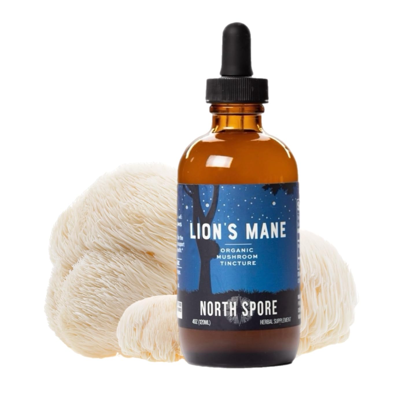 North Spore Organic Lion's Mane Mushroom Tincture (4 oz) | 100% Fruiting Body Extracts | for Focus, Memory, Brain Support | Certified Organic, Vegan, Non-GMO | Adaptogenic, Nootropic | Made in USA