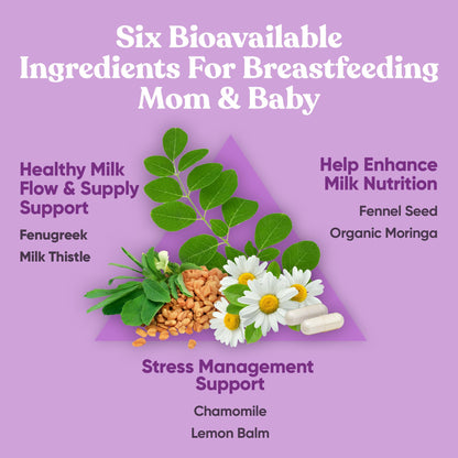 Nourish Lactation Supplement | Postpartum Milk Flow Support