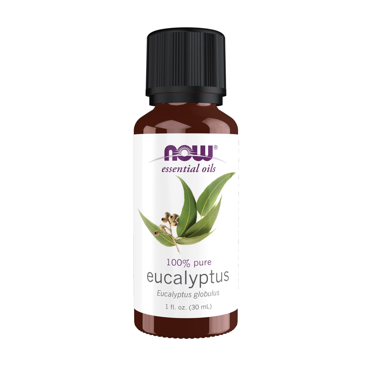 NOW Essential Oils Eucalyptus Oil – Steam Distilled, 100% Pure, 1 oz