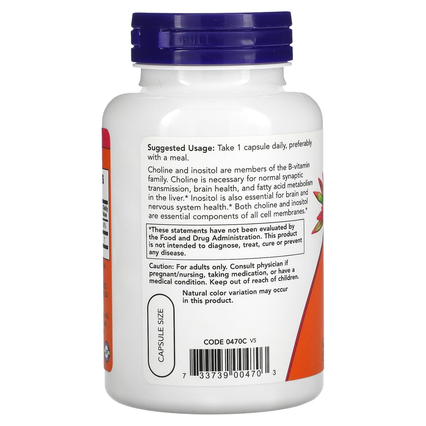 Now Foods Choline & Inositol 500 mg - 100 Caps