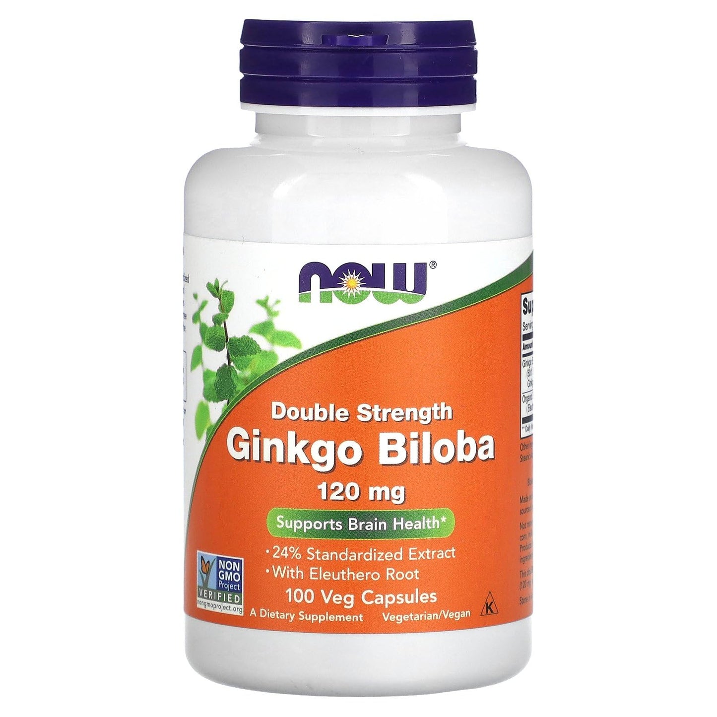 NOW Foods Ginkgo Biloba 120 mg – 100 Veg Capsules | Brain Health