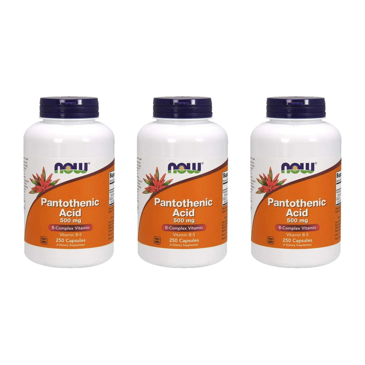 NOW Foods Pantothenic Acid 500 mg – 250 Capsules (3 Pack) BritishVita | Premium UK Vitamins & Wellness Supplements
