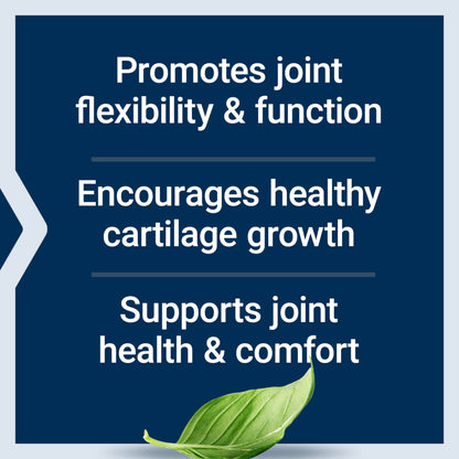 Life Extension NT2 Collagen — Joint Health & Mobility, 60 Small Capsules
