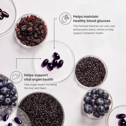 Nu Skin ageLOC Meta | Premium Dietary Supplement for Metabolic Health, Immune Support & Antioxidant Defense