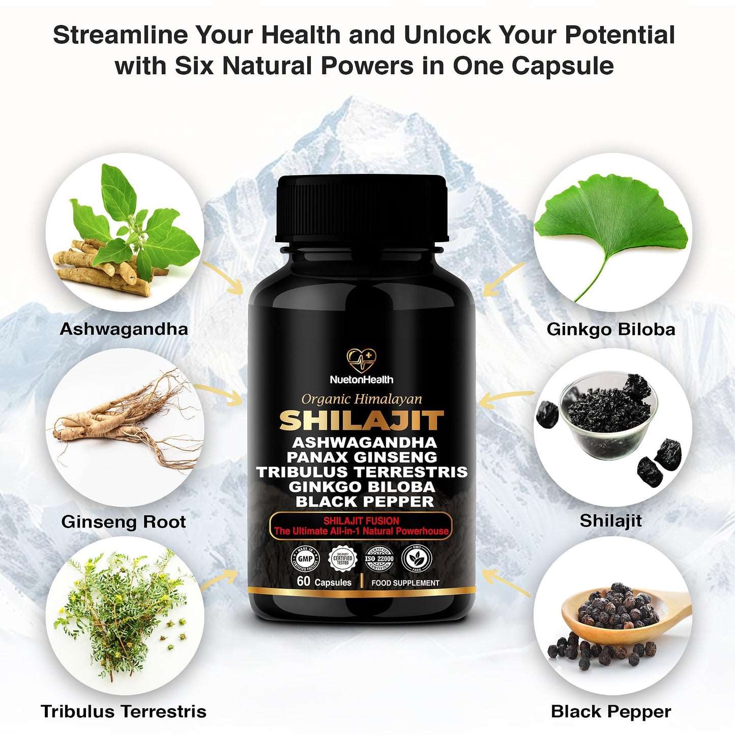 NuetonHealth Shilajit Fusion Capsules – Vegan, Gluten-Free Vitality Blend