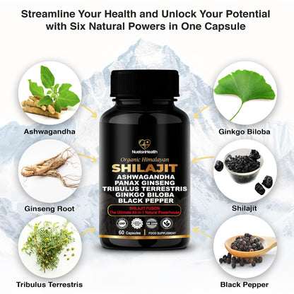 NuetonHealth Shilajit Fusion Capsules – Vegan, Gluten-Free Vitality Blend