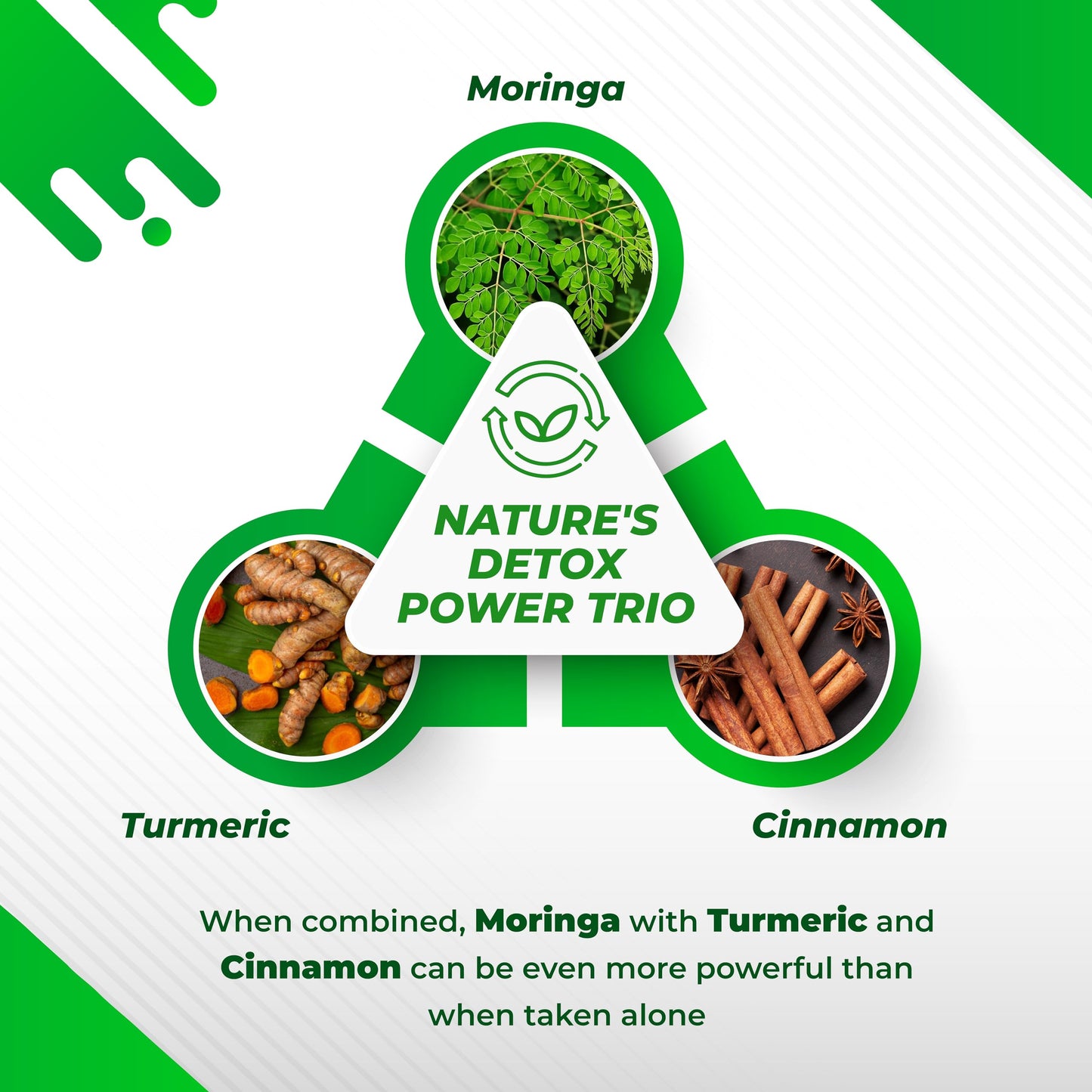 Moringa 12-in-1 Supplement with Turmeric, Quercetin & Cinnamon – Made in USA | Nurafuse