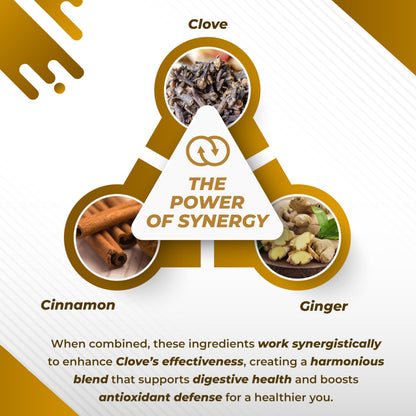 NURAFUSE Cloves Cinnamon Ginger - Digestive Health, Immunity, Respiratory Wellness - USA Made