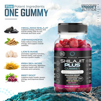 Nusalus Shilajit Plus Gummies – 5-in-1 Adaptogen Energy & Focus (Vegan, Made in USA)