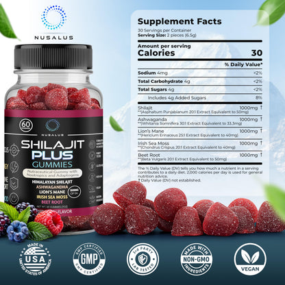 Nusalus Shilajit Plus Gummies – 5-in-1 Adaptogen Energy & Focus (Vegan, Made in USA)
