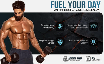 Nusalus Shilajit Plus Gummies – 5-in-1 Adaptogen Energy & Focus (Vegan, Made in USA)