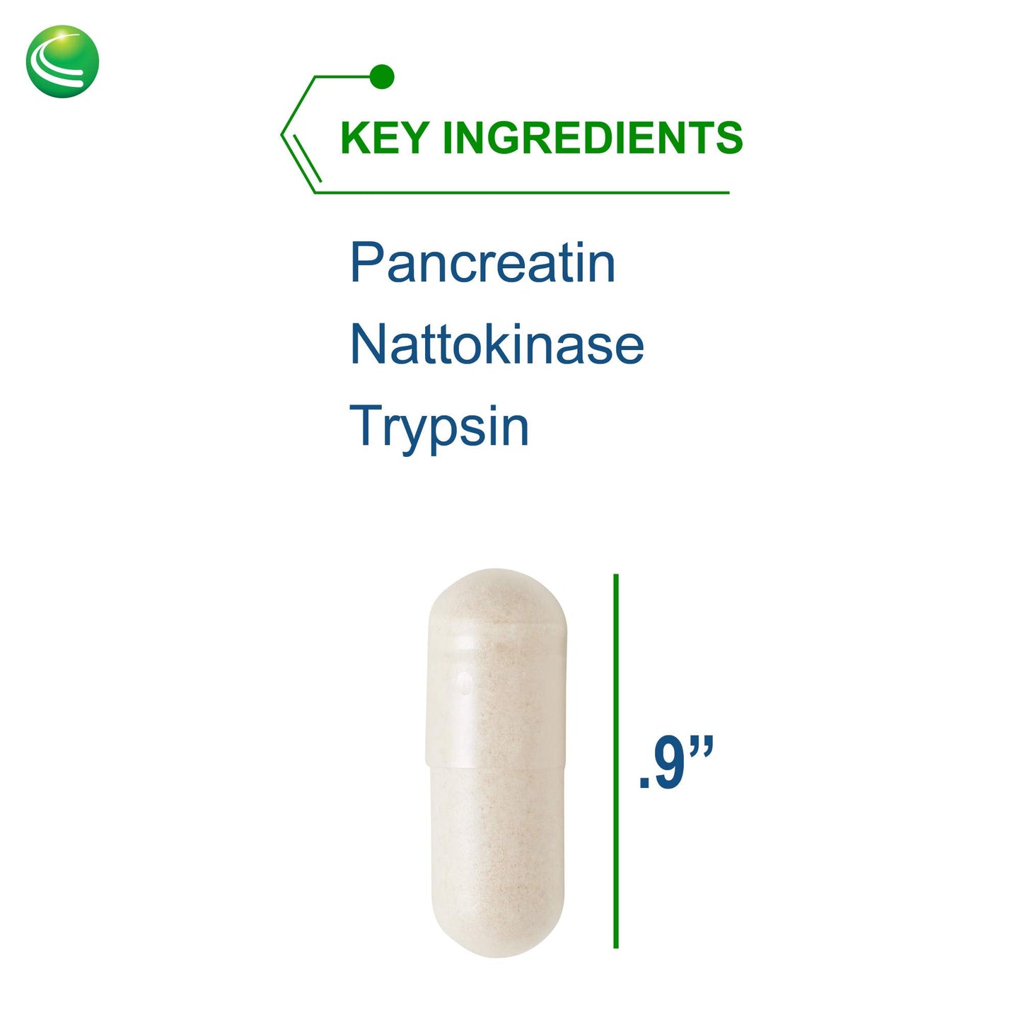Nutra Biogenesis InfamaZyme Digestive Enzymes for Women & Men – Pancreatin, Bromelain, Papain | 90 Capsules