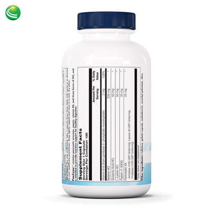 Nutra Biogenesis PanZyme - Betaine HCl with Pancreatin, Lipase & Protease | 180 Capsules